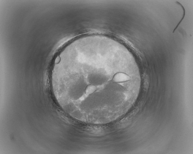 X0000114111215200911161112