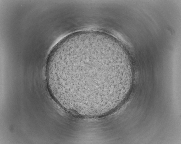 X0000114111216200911161112