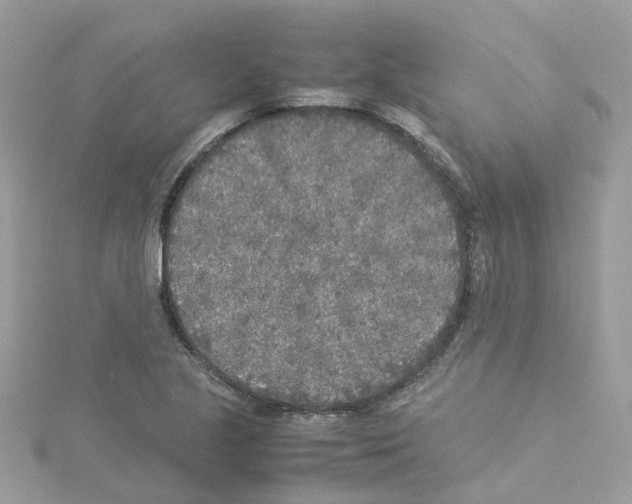 X0000114111221200911161112