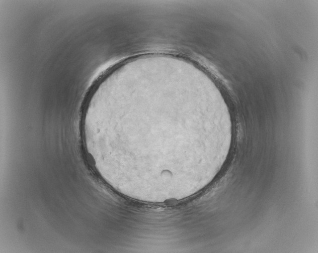 X0000114111222200911161112