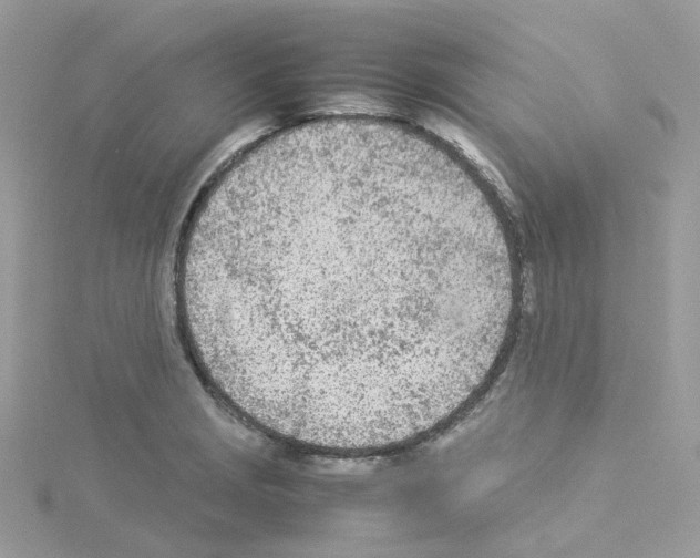 X0000114111229200911161112