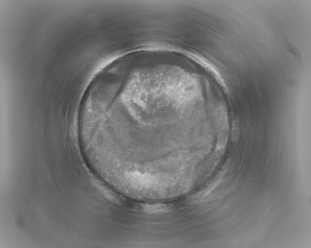 X0000114111231200911161112