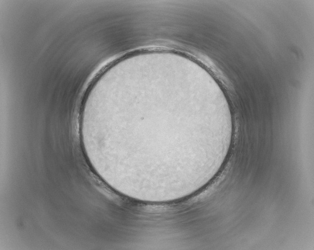 X0000114111232200911161112