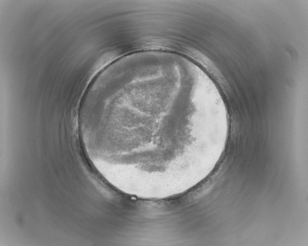 X0000114111234200911161112