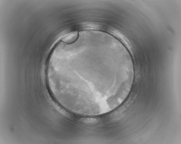 X0000114111235200911161112