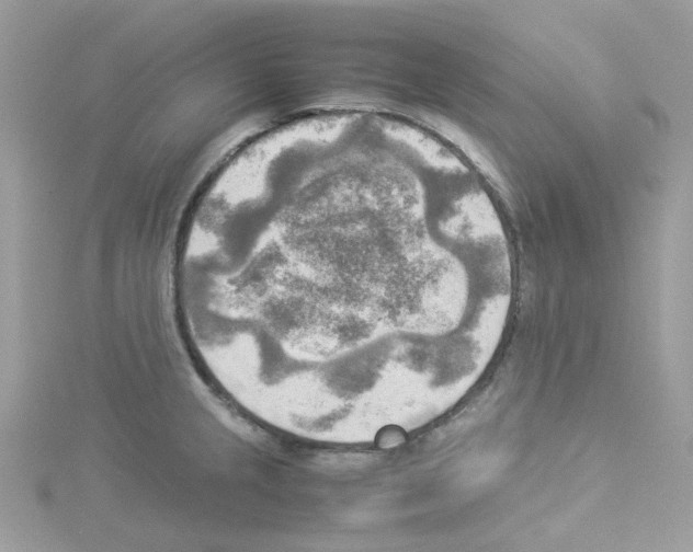 X0000114111237200911161112