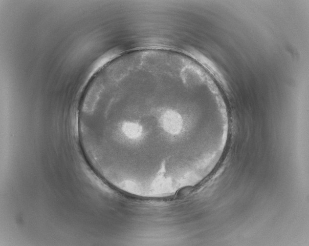 X0000114111238200911161112