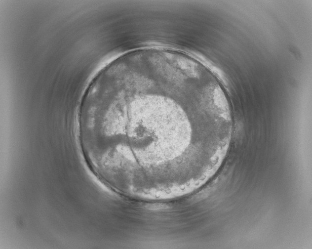 X0000114111239200911161112