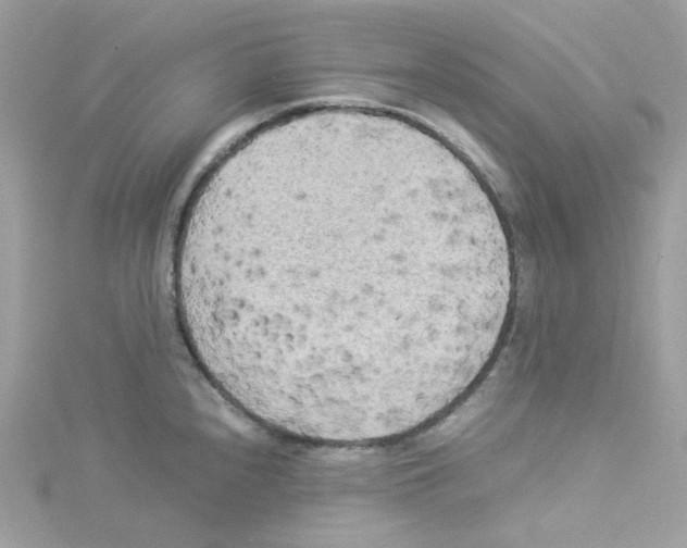 X0000114111240200911161112