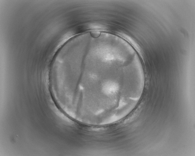 X0000114111243200911161112