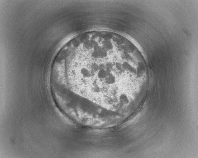 X0000114111245200911161112