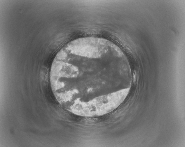 X0000114111251200911161111