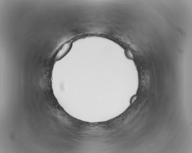 X0000114111256200911161111