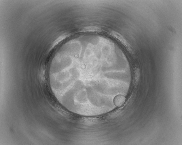 X0000114111258200911161111