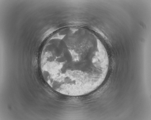 X0000114111259200911161111