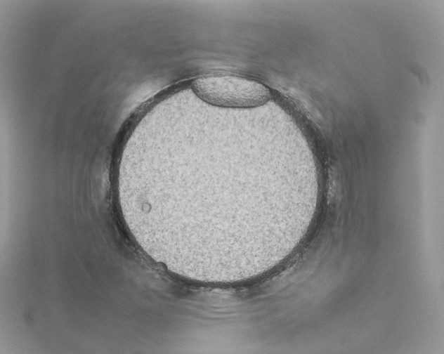 X0000114111261200911161111