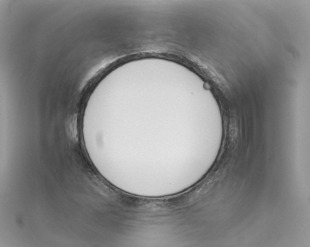 X0000114111262200911161111