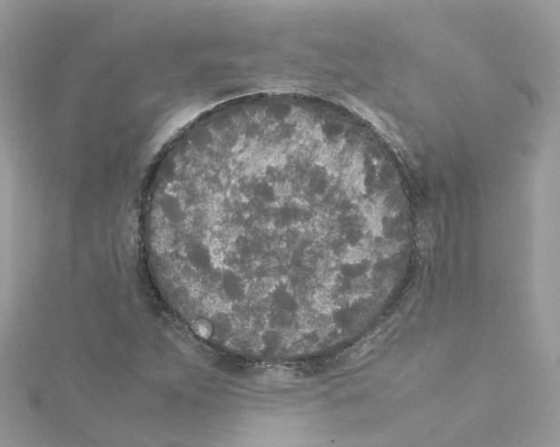 X0000114111263200911161111