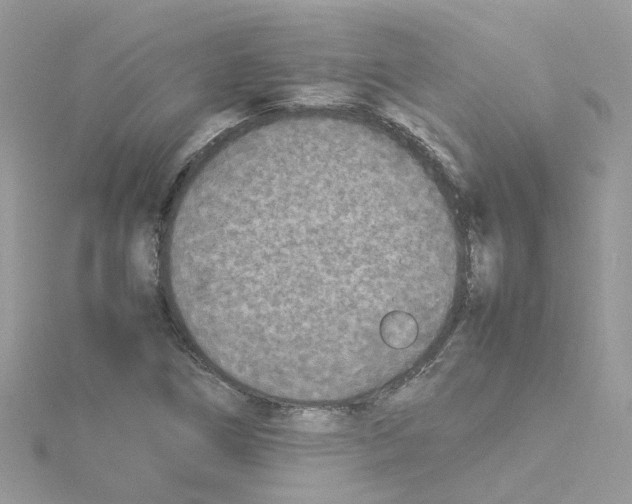 X0000114111266200911161111