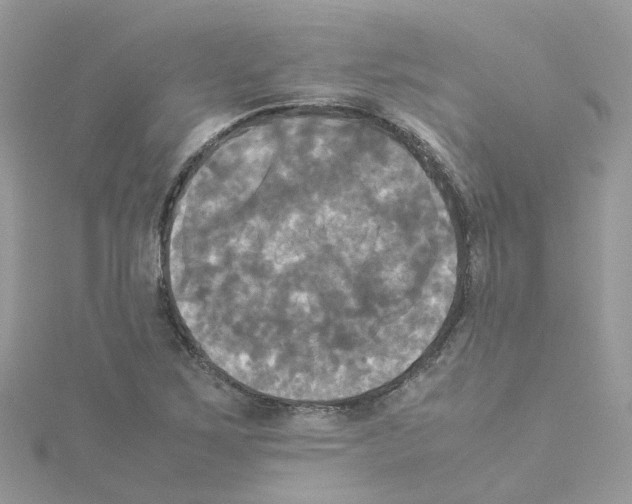 X0000114111267200911161111