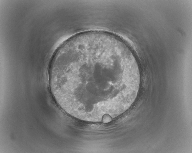 X0000114111271200911161111