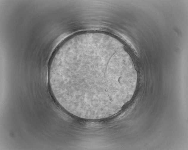 X0000114111275200911161111