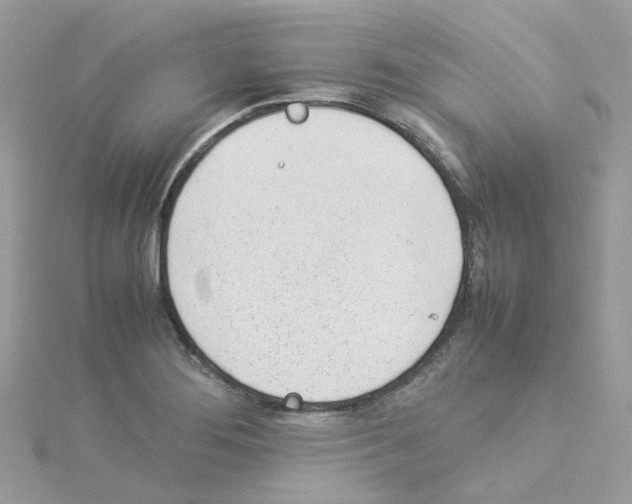 X0000114111276200911161111