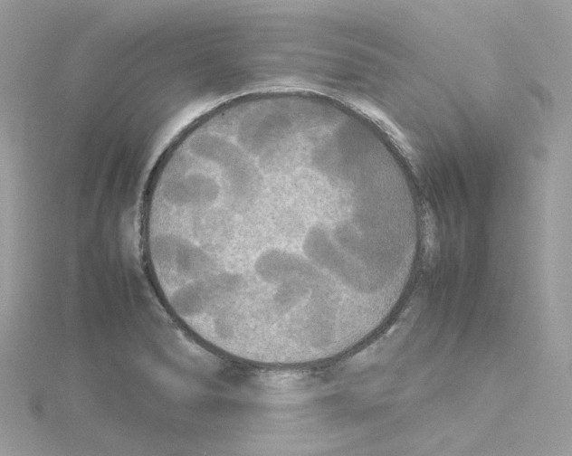 X0000114111278200911161111