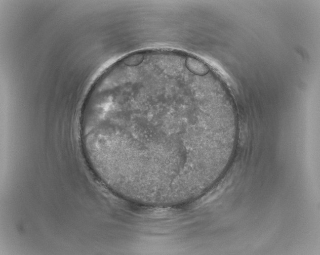 X0000114111279200911161111