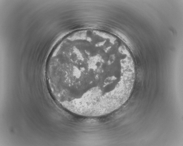 X0000114111283200911161111