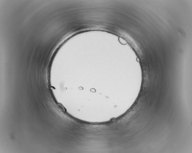 X0000114111284200911161111