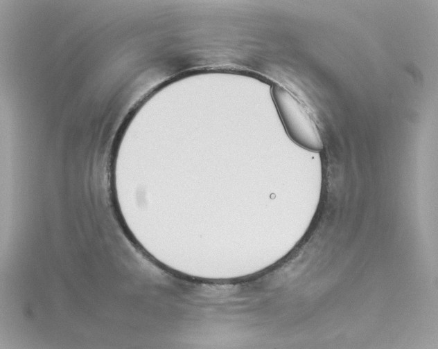 X0000114111285200911161111