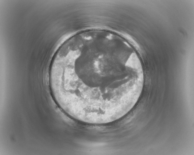 X0000114111287200911161111