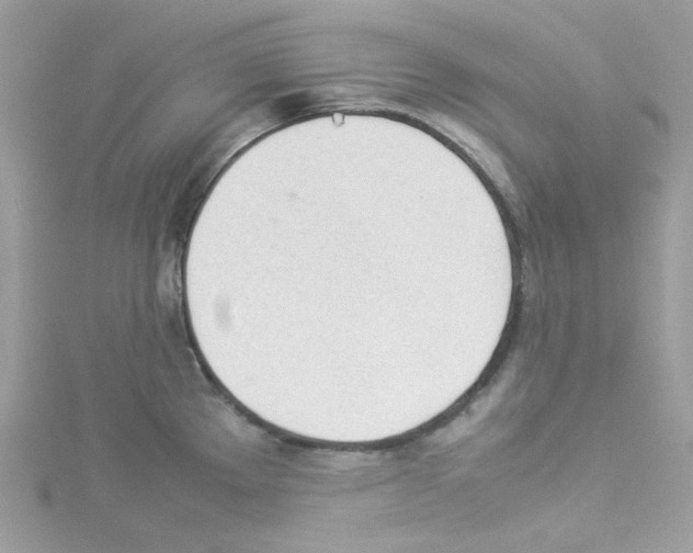 X0000114111289200911161111