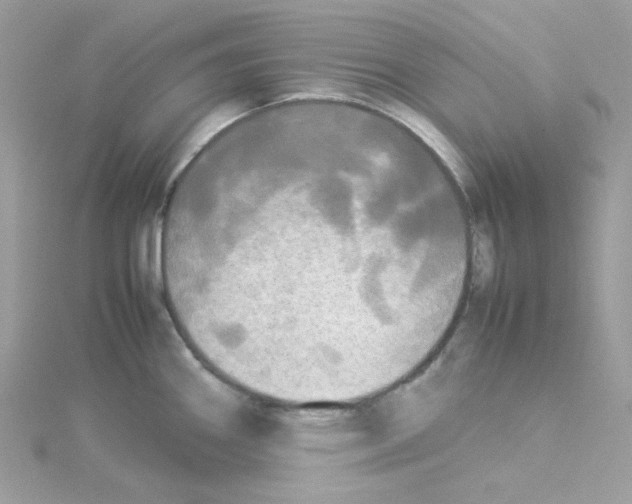 X0000114111290200911161111