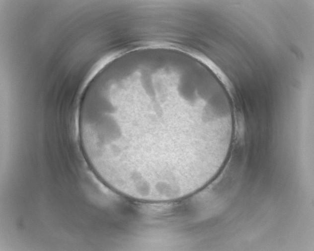 X0000114111294200911161111