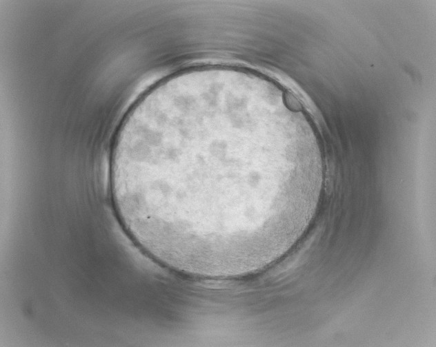 X0000114111295200911161111