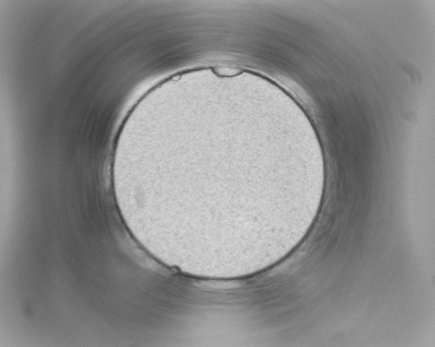 X0000114111296200911161111