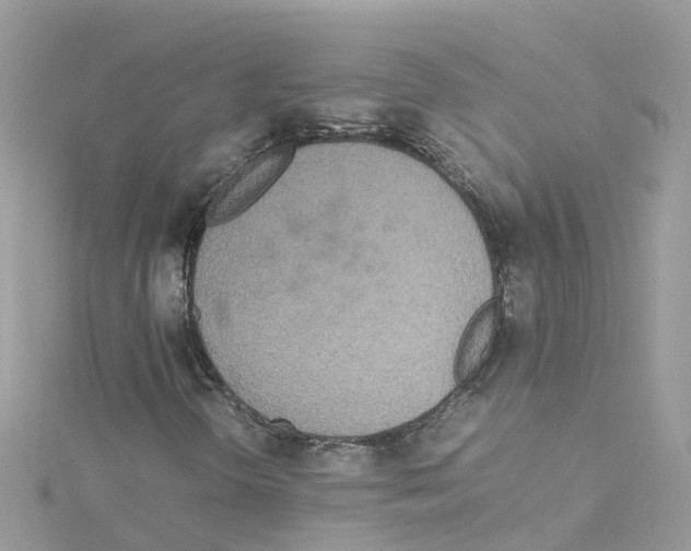 X0000114111298200911161110