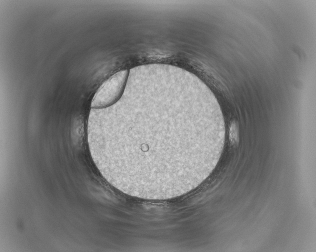 X0000114111299200911161110