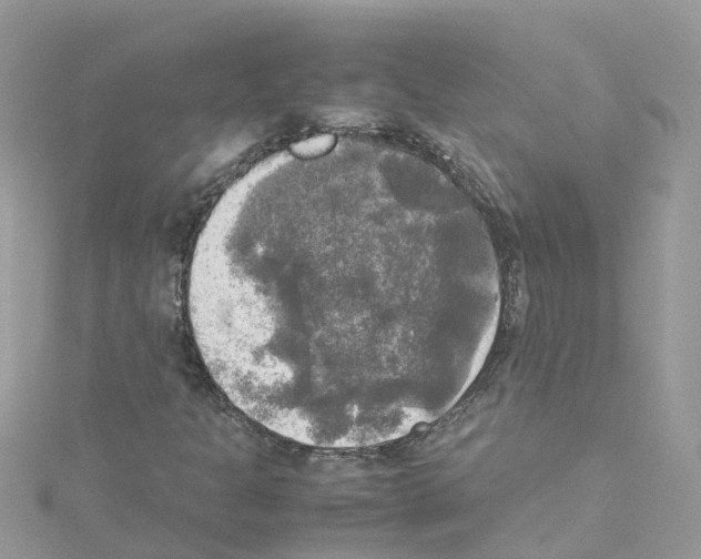 X0000114111301200911161110