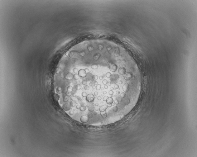 X0000114111302200911161110