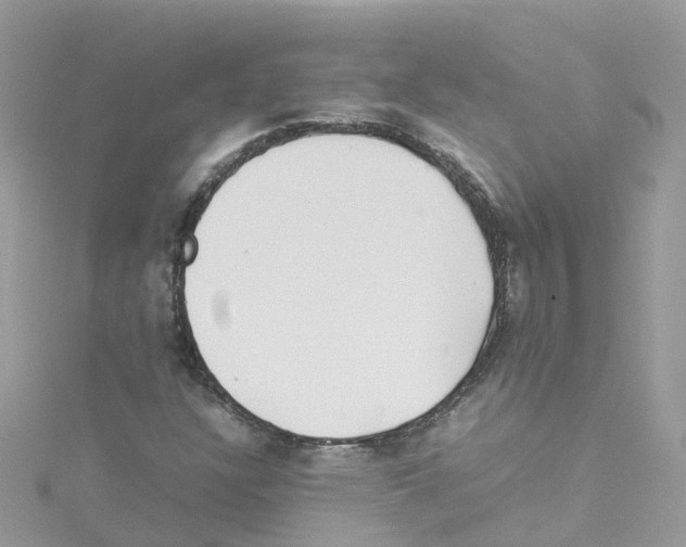 X0000114111304200911161110