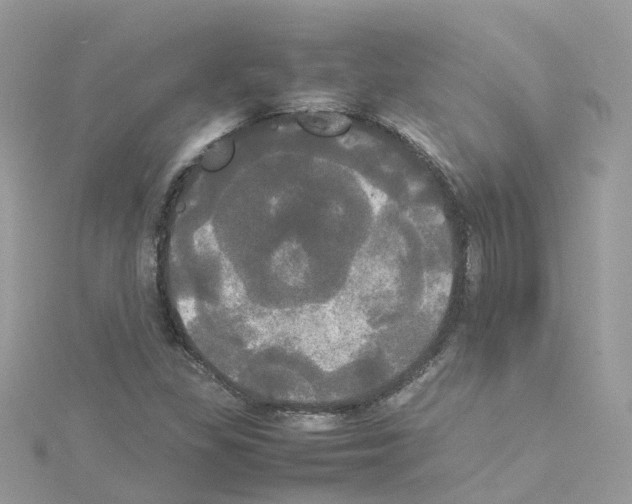 X0000114111309200911161110