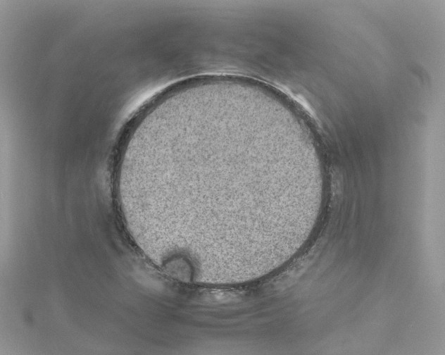 X0000114111311200911161110