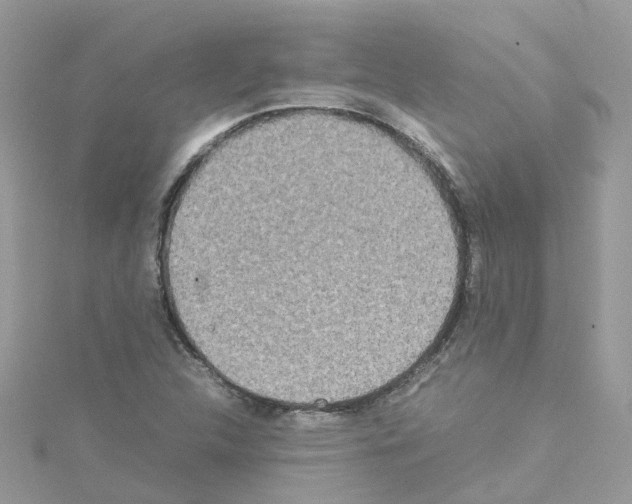 X0000114111312200911161110