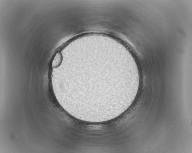 X0000114111315200911161111