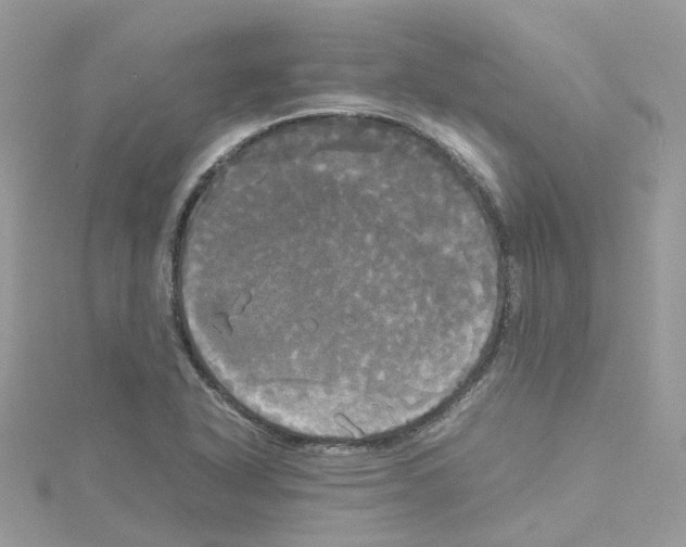 X0000114111318200911161111