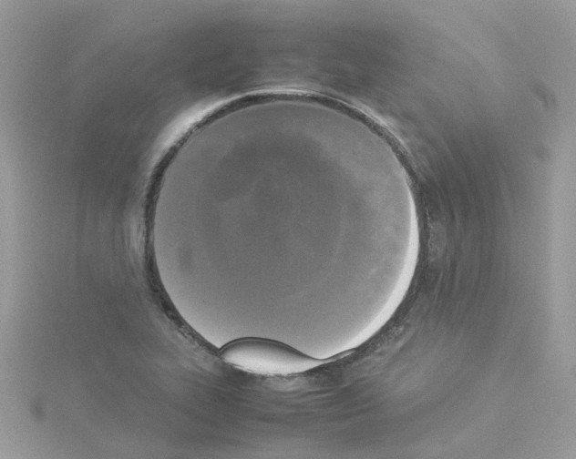 X0000114111319200911161111