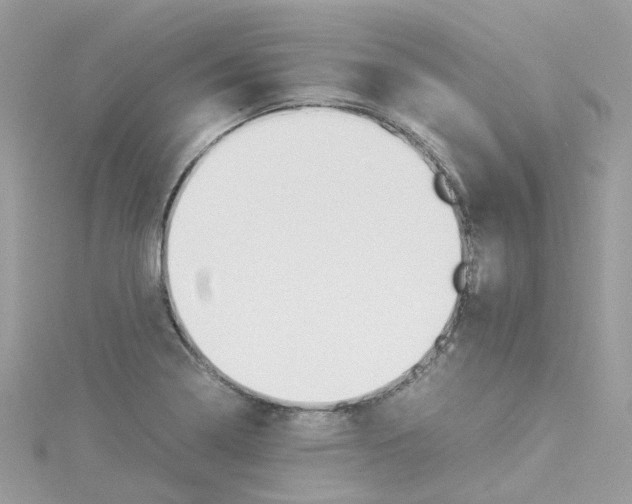 X0000114111322200911161111